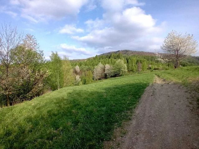 Działka rolna Rzyki. Zdjęcie 1