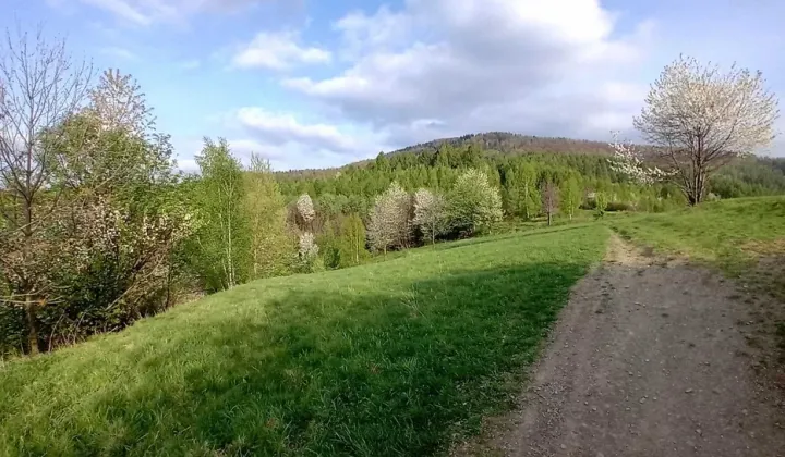 Działka rolna Rzyki