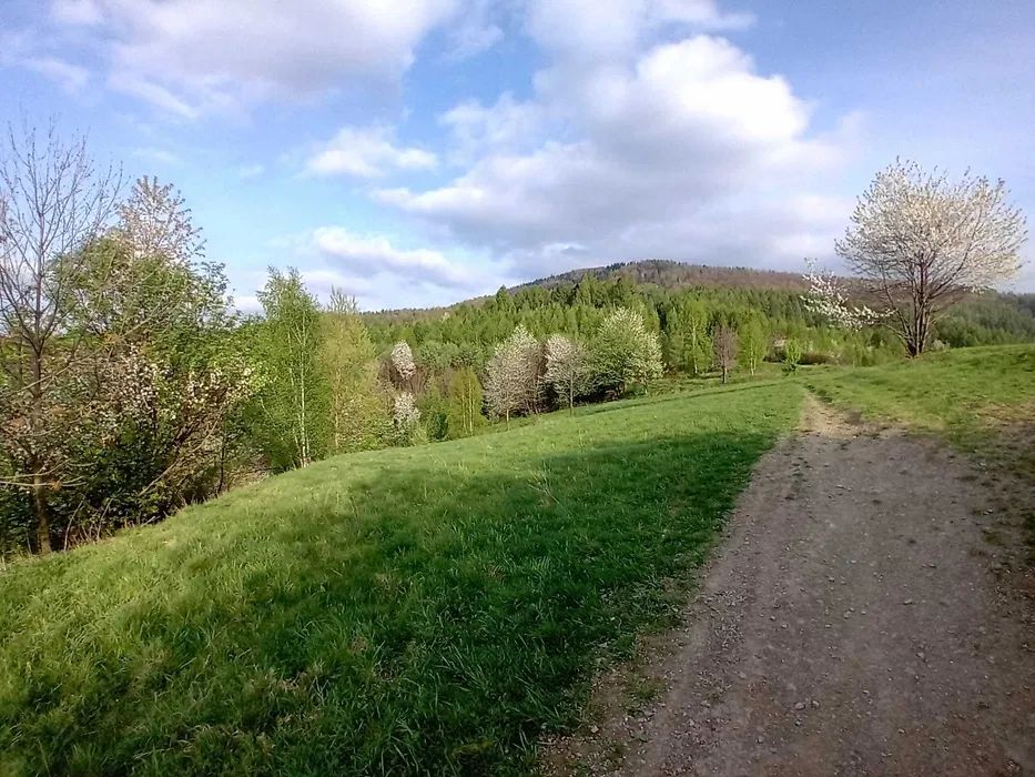 Działka rolna Rzyki. Zdjęcie 1