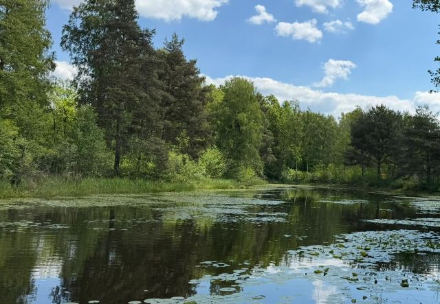 Działka budowlana Janinów, ul. Kolumbijska. Zdjęcie 2