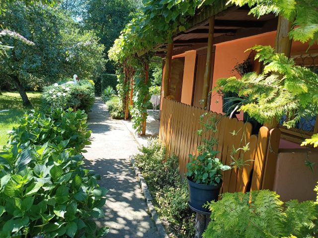 Działka rekreacyjna Ruda Śląska Halemba, ul. Młyńska. Zdjęcie 1