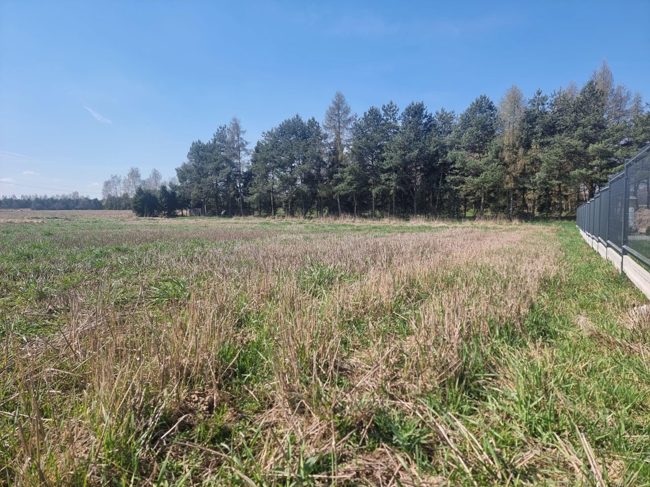 Działka rolno-budowlana Jarząbkowice