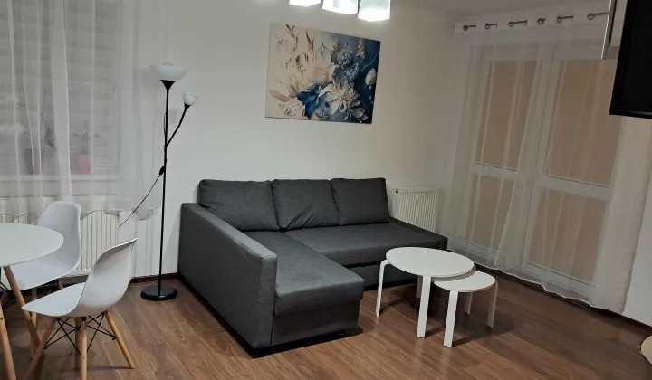 Mieszkanie 1-pokojowe Borkowo, ul. Współczesna