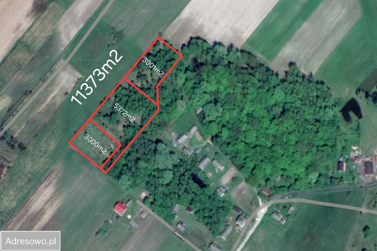 Działka rolno-budowlana Studzianki Pancerne. Zdjęcie 2