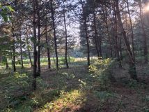 Działka siedliskowa Śródborze. Zdjęcie 1