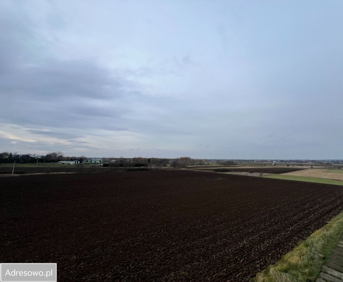 Działka inwestycyjna Łąka. Zdjęcie 2