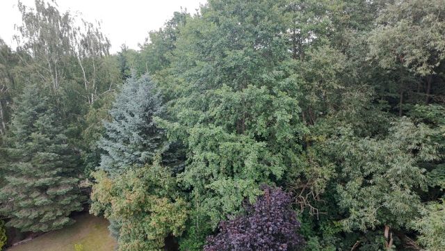 dom wolnostojący, 6 pokoi Złotokłos. Zdjęcie 33