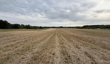Działka rolno-budowlana Urzędów, ul. Wodna