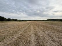 Działka rolno-budowlana Urzędów, ul. Wodna