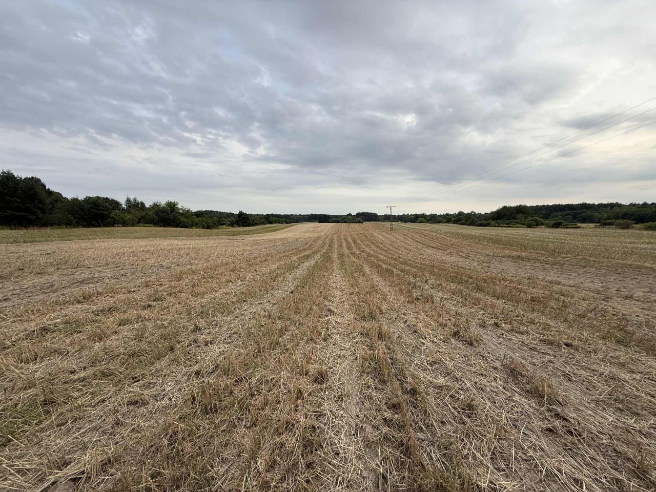 Działka rolno-budowlana Urzędów, ul. Wodna