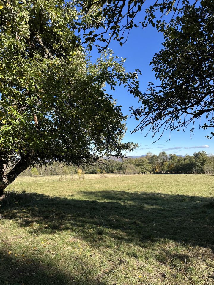 Działka budowlana Szczawina. Zdjęcie 11