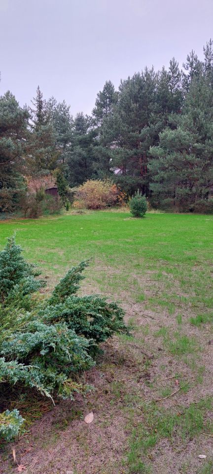 Działka rekreacyjna Morgi, ul. 25. Zdjęcie 2