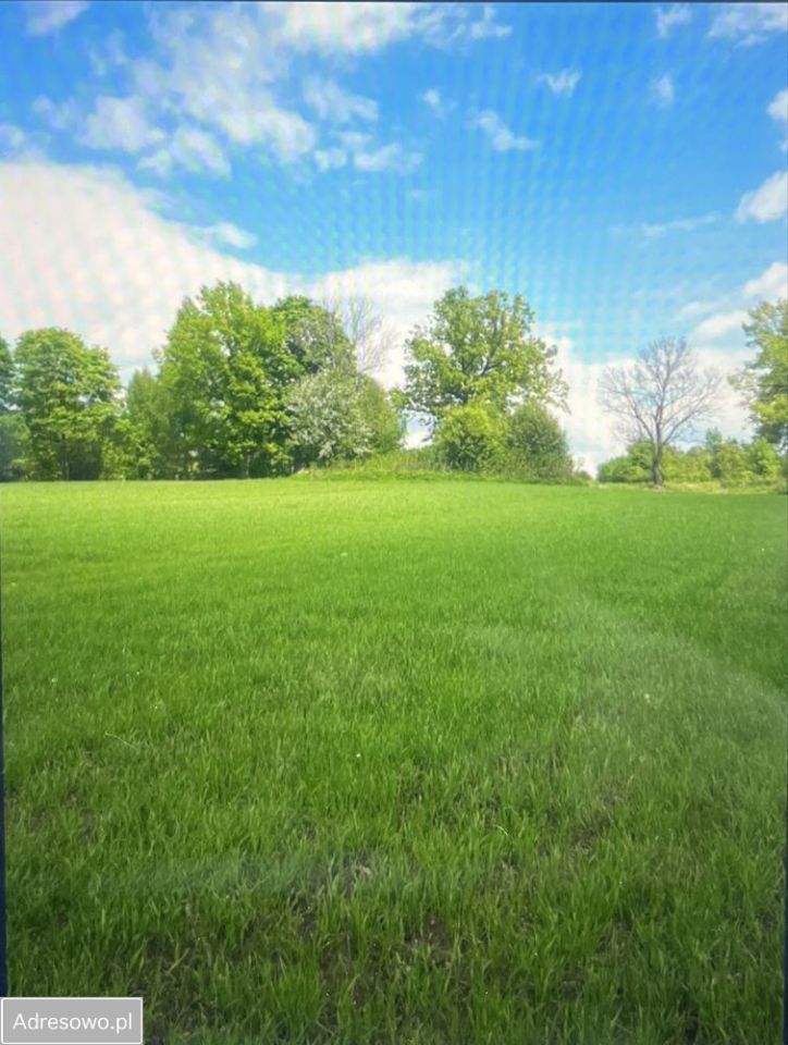 Działka rolna Mieruniszki. Zdjęcie 1