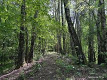 Działka inna Zalasowa, ul. Mieszka I. Zdjęcie 4