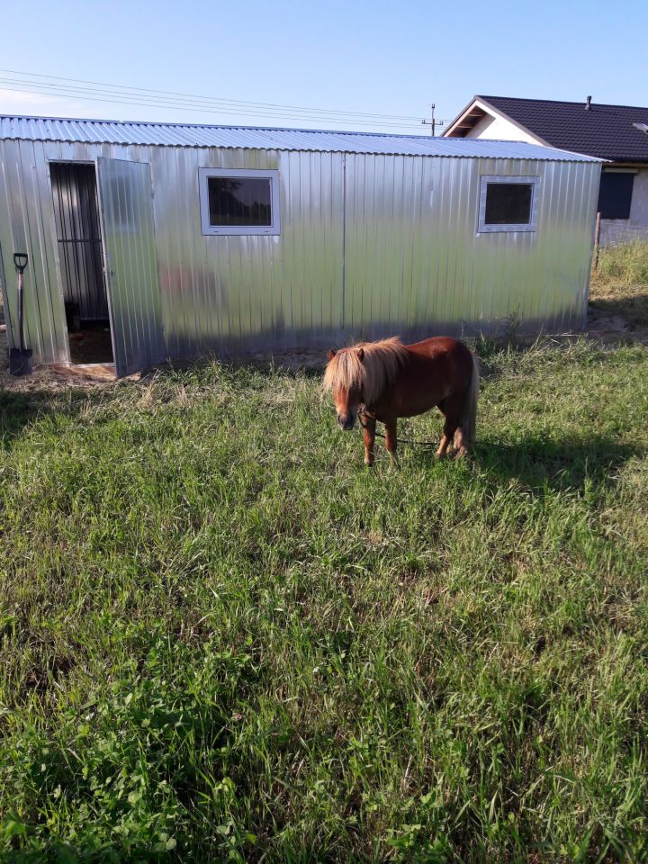 Działka rolno-budowlana Żółwin. Zdjęcie 7