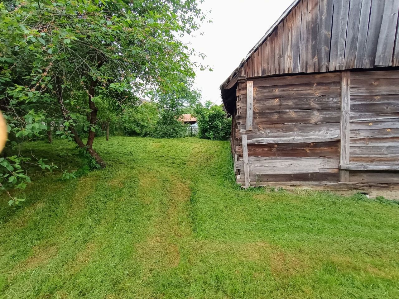 gospodarstwo Surhów. Zdjęcie 2