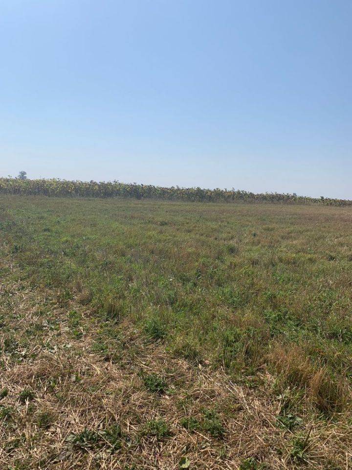 Działka rolna Głazów. Zdjęcie 2