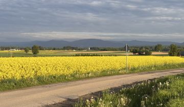 dom wolnostojący, 8 pokoi Bielany