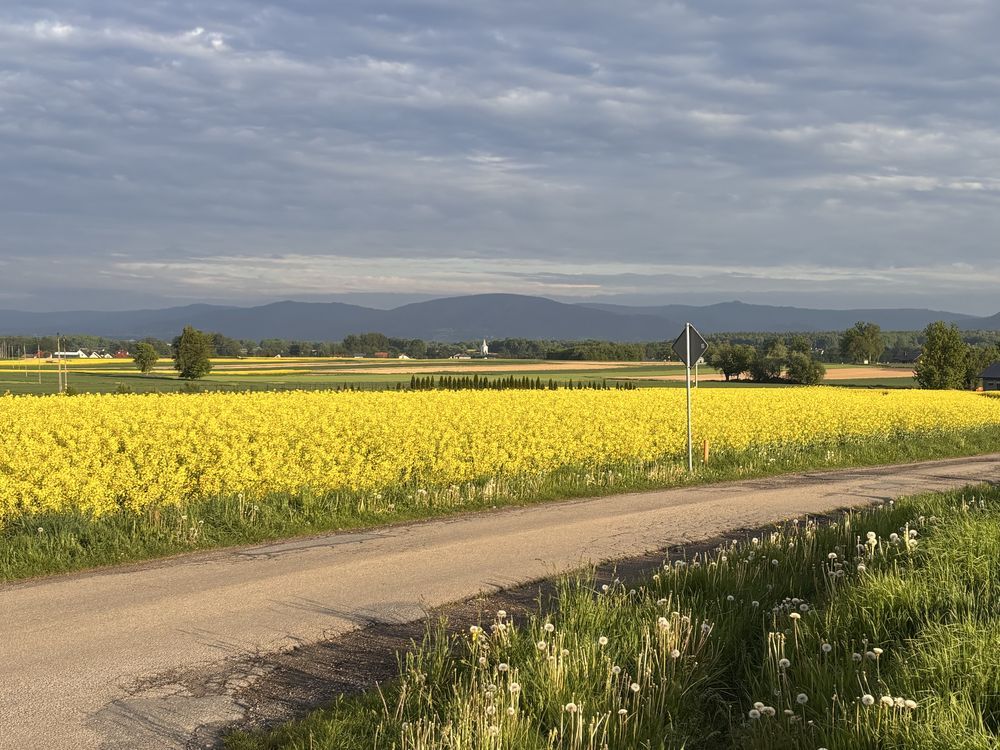 dom wolnostojący, 8 pokoi Bielany
