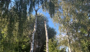 Działka budowlana Bielawa