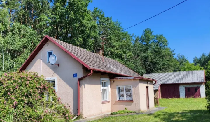 dom wolnostojący, 1 pokój Padew Narodowa Wygwizdów, ul. Grunwaldzka