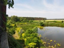 Działka rekreacyjna Nowa Jabłona. Zdjęcie 2