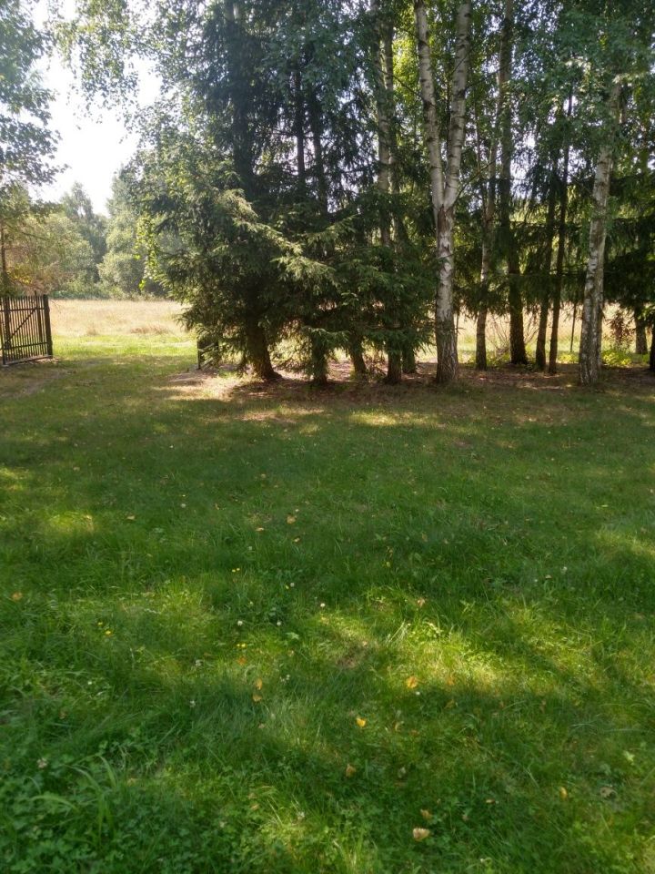 Działka rekreacyjna Szczechy Małe. Zdjęcie 7