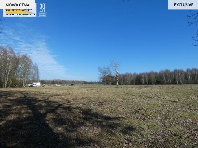 Działka budowlana Krzywice. Zdjęcie 3