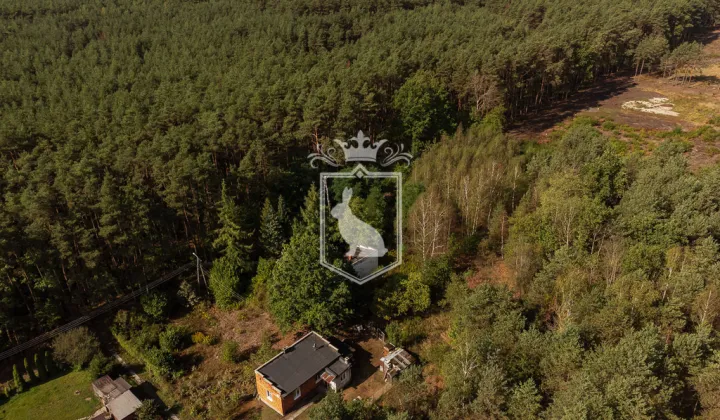 Działka budowlana Leśniakowizna, ul. Szumiąca