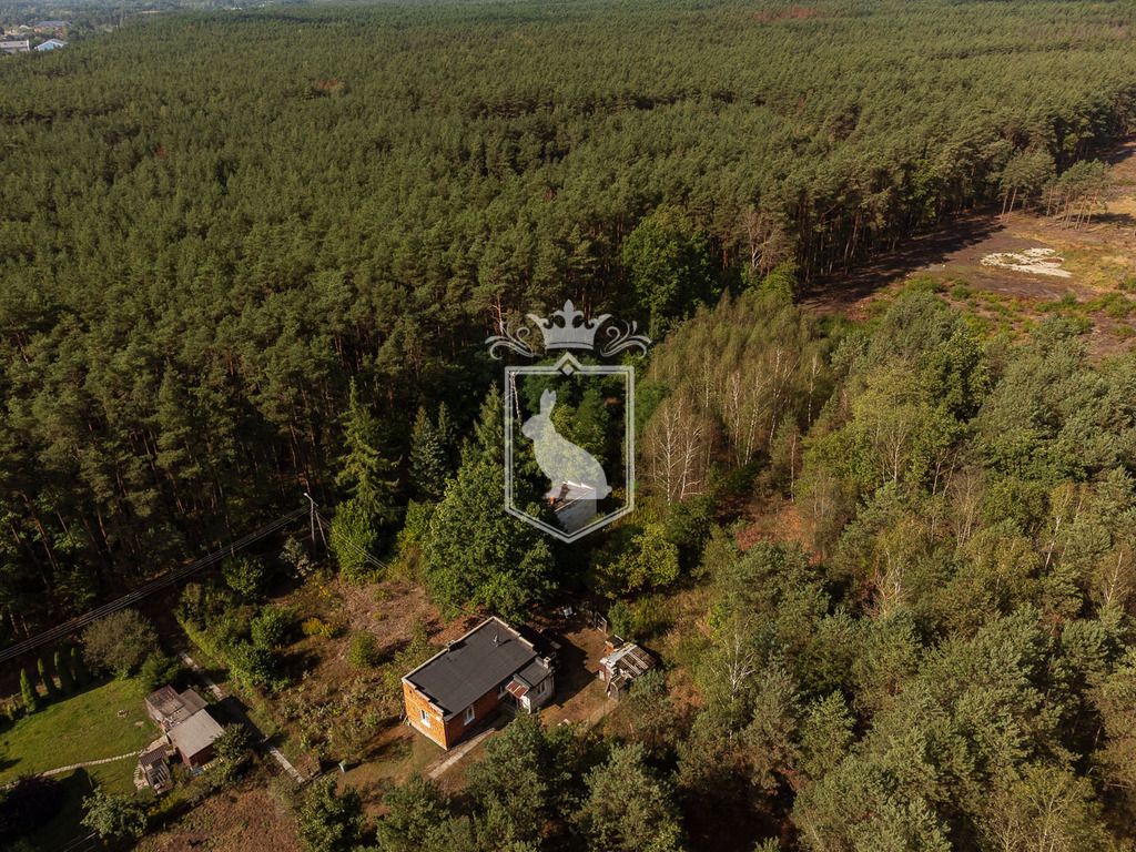Działka budowlana Leśniakowizna, ul. Szumiąca