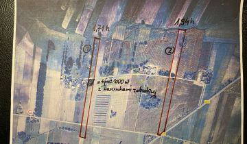 Działka rolna Gołas