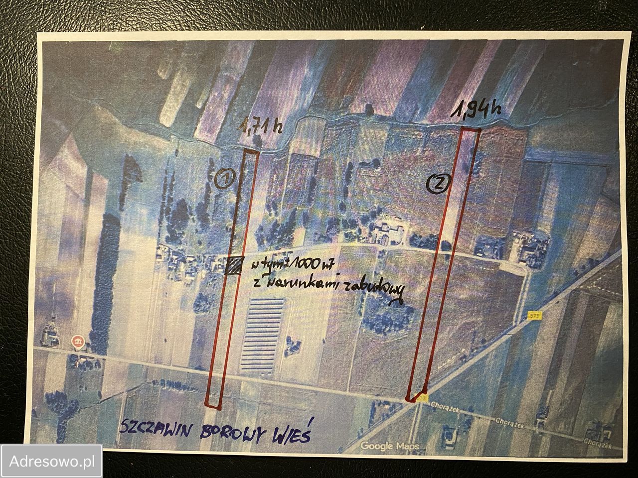 Działka rolna Gołas. Zdjęcie 2