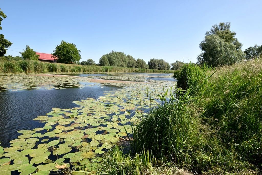 dom wolnostojący, 2 pokoje Markusy, Markusy. Zdjęcie 7