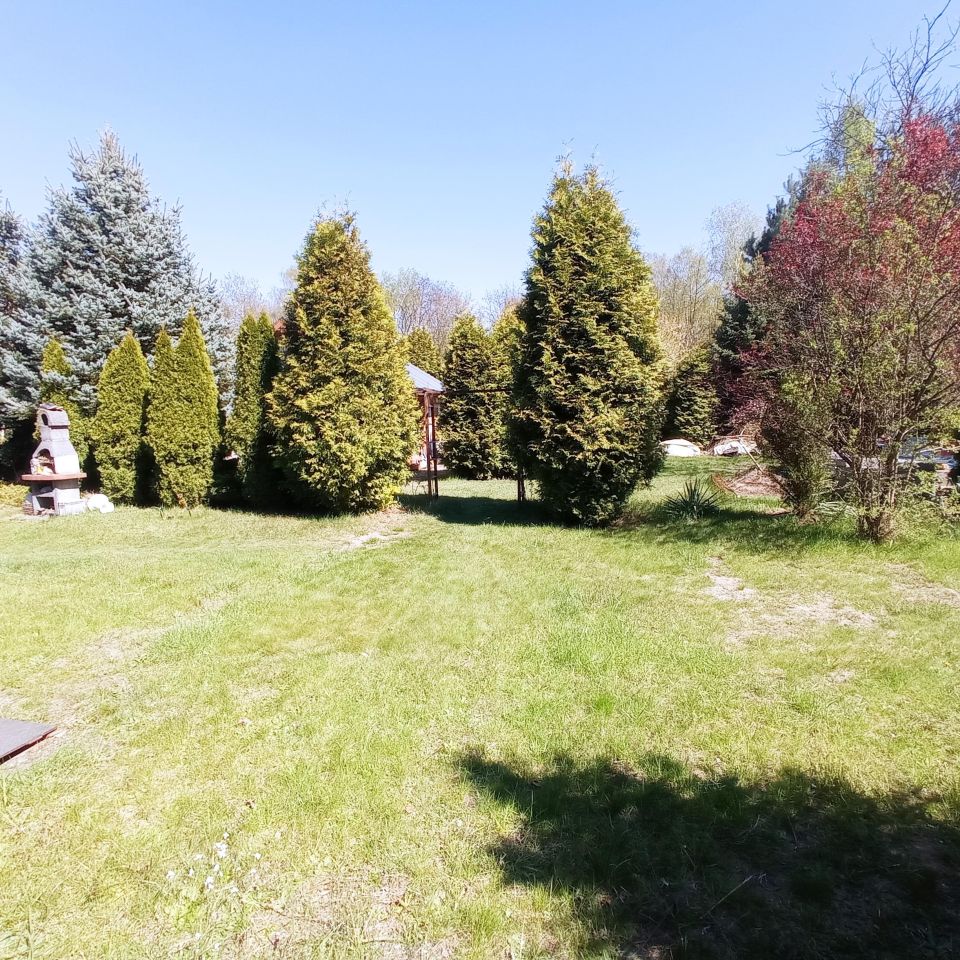 Działka rod Sosnowiec Kazimierz, ul. Limbowa. Zdjęcie 5