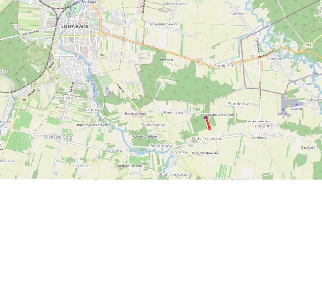 Działka rolna Rawiczów. Zdjęcie 2