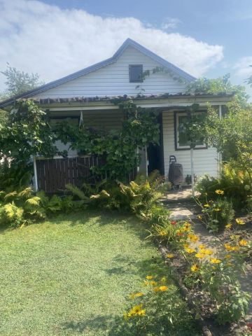 Działka rekreacyjna Białystok Pieczurki, ul. Pieczurki. Zdjęcie 1