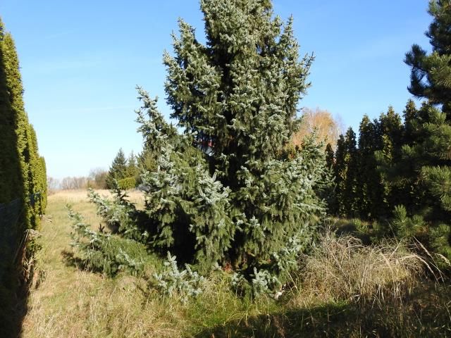 Działka rolno-budowlana Bobrowniki, ul. Słowackiego. Zdjęcie 2