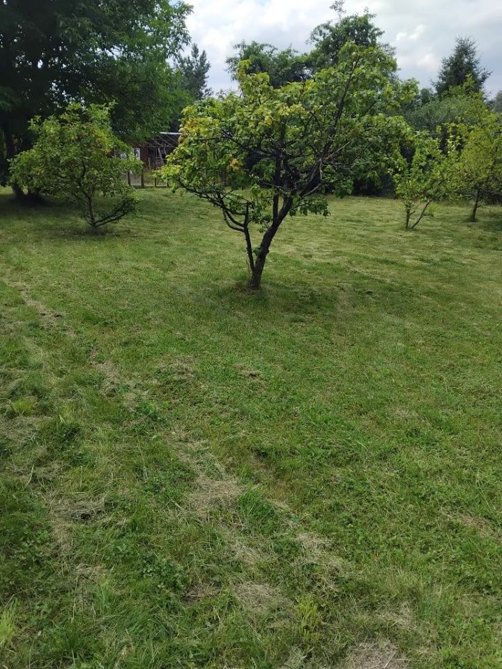 Działka rod Styrzyniec. Zdjęcie 4
