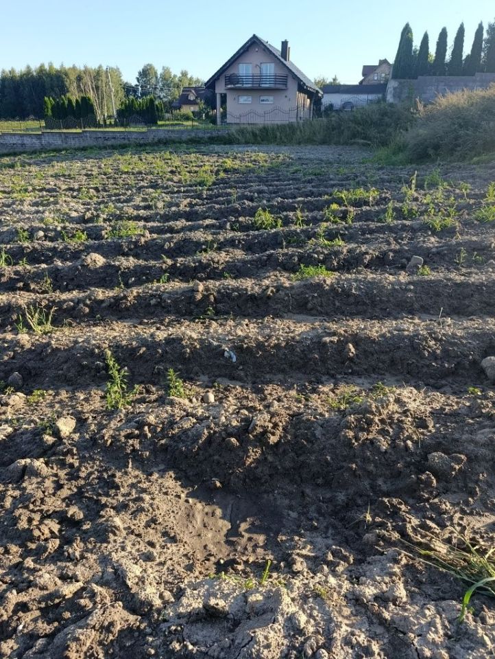 Działka budowlana Gardeja, ul. Wschodnia. Zdjęcie 3