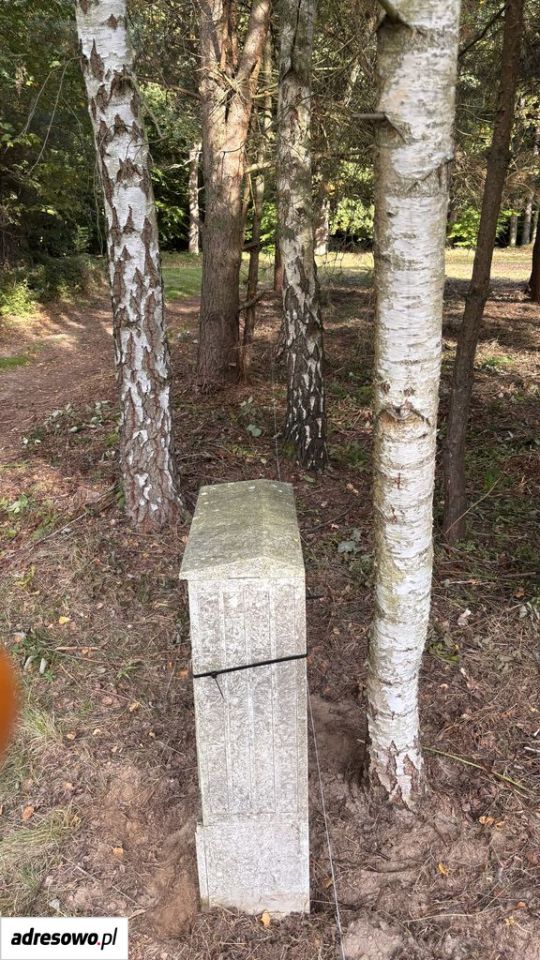 Działka budowlana Sierosław. Zdjęcie 5