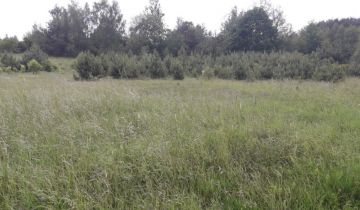 Działka budowlana Zofiówka