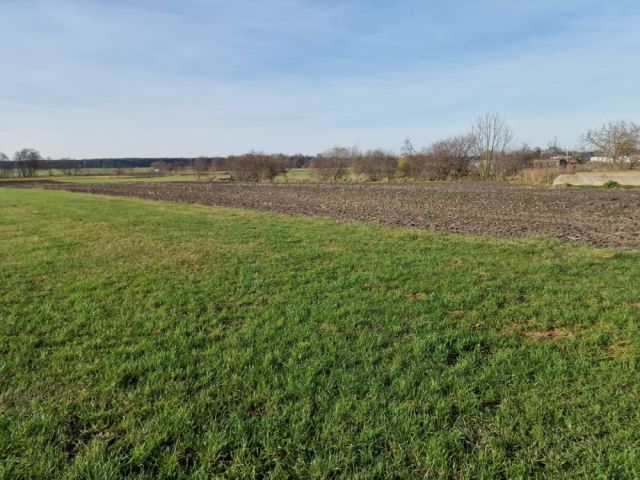 Działka rolna Biskupice. Zdjęcie 1