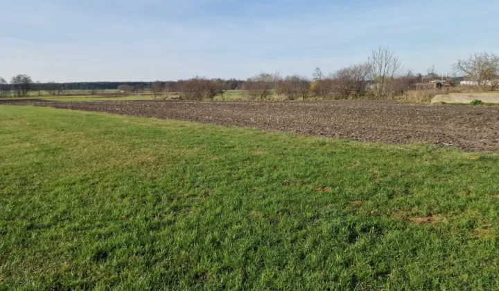 Działka rolna Biskupice