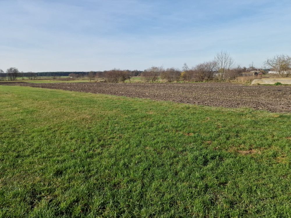 Działka rolna Biskupice