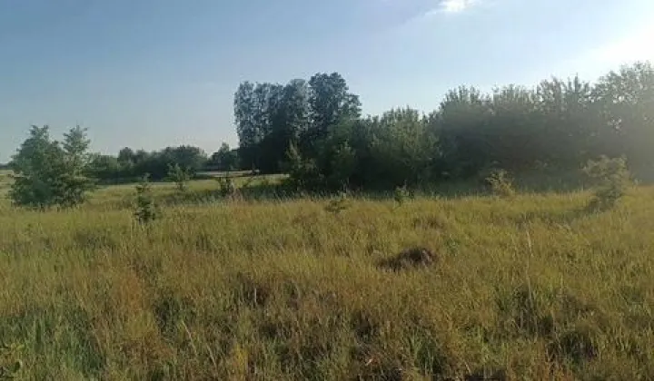 Działka rolno-budowlana Letniki