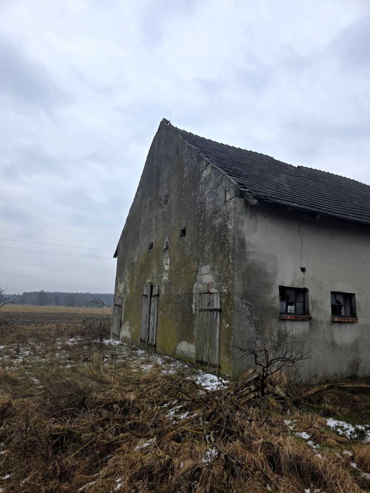 Działka inwestycyjna Szklarka Myślniewska. Zdjęcie 7