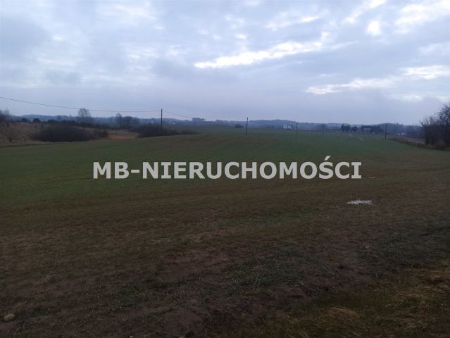 Działka budowlana Królikowo. Zdjęcie 6