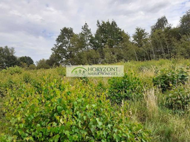Działka budowlana Mściszewice. Zdjęcie 12
