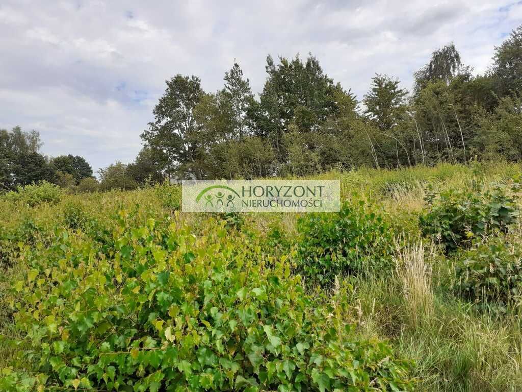 Działka budowlana Mściszewice. Zdjęcie 12