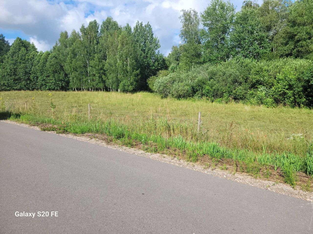 Działka siedliskowa Krzywe. Zdjęcie 2